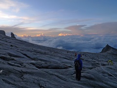 P1070643a.jpg